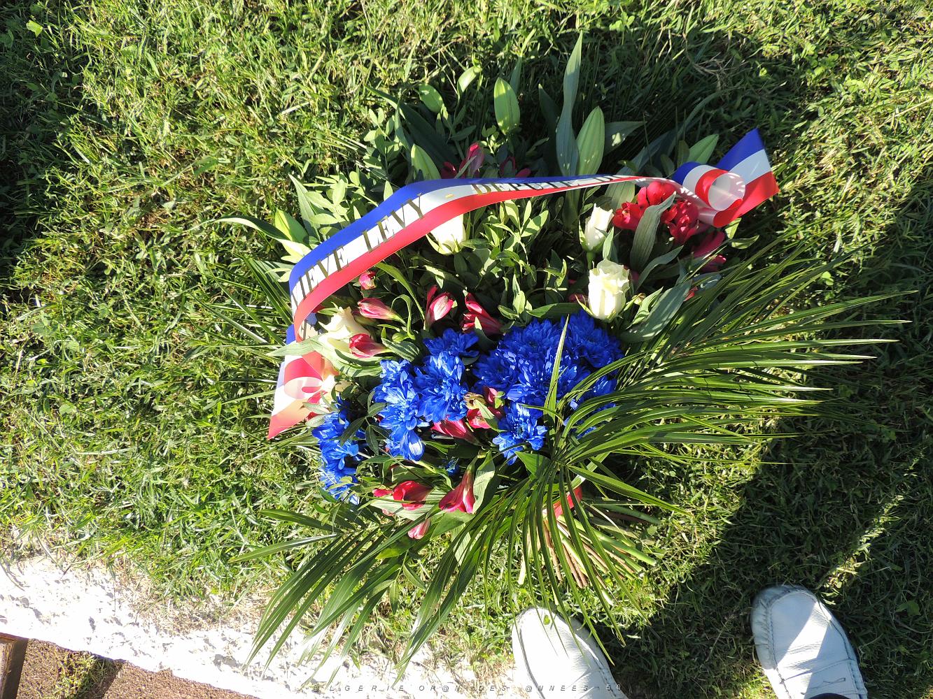 2019 09 25 TOULON HOMMAGE NATIONAL AUX HARKIS ET AUX FORMATIONS SUPPLETIVES  (8).JPG -           